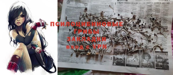 прущие грибы Белоозёрский