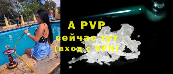 прущие грибы Белоозёрский