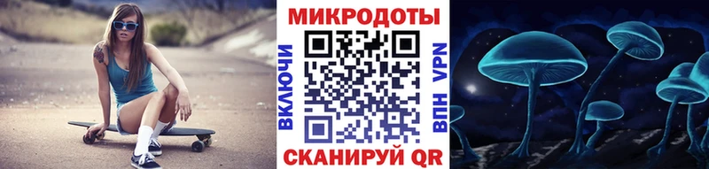 OMG tor продажа наркотиков Черняховск Псилоцибиновые грибы Magic Shrooms